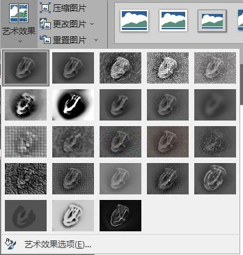 ppt如何对电镜扫描的元素重新着色,ppt怎么给扫描电镜图片排版