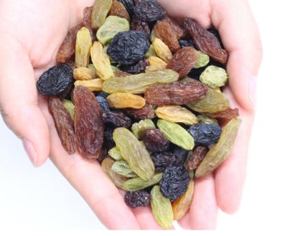 真正的黑色葡萄干,正宗的新葡萄干