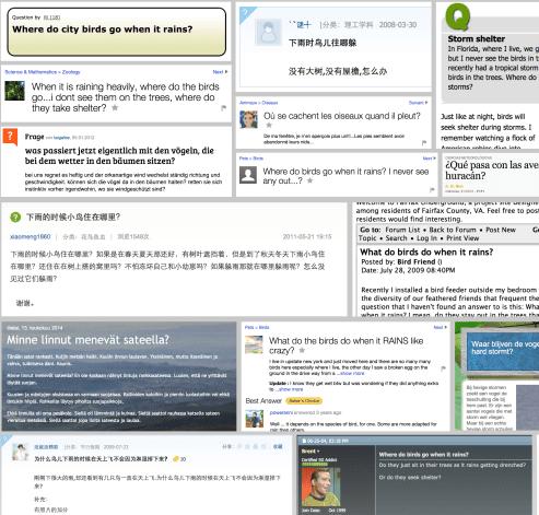 雨怎么那么大,下这么大的雨小鸟怎么办