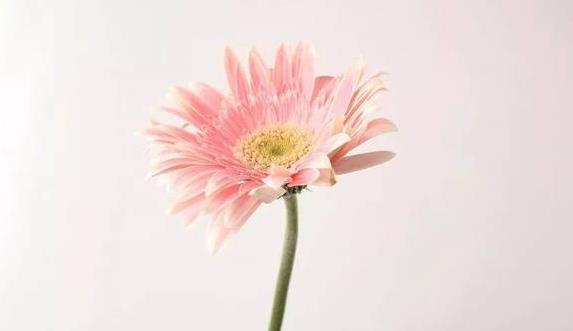 没钱没有朋友,一个人没有钱的时候