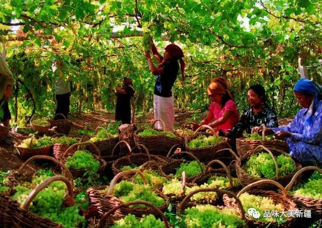 低调的和田玉,低调奢华的和田玉