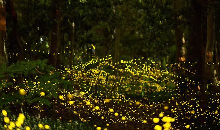 去哪个马尔代夫好玩,度假胜地马尔代夫