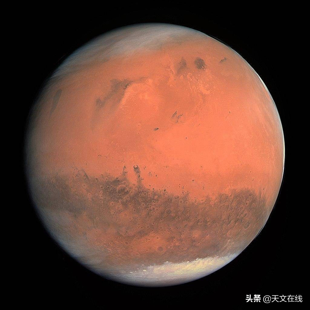 科学家发现火星上有昆虫,一名昆虫学家声称火星被大型覆盖