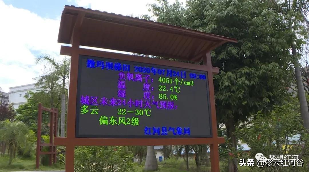 红河州森林氧吧景区,云端氧吧