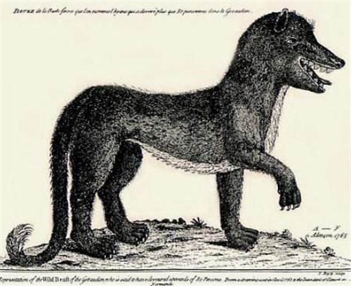 中国真实狼人杀人事件,狼人事件真实案件照片