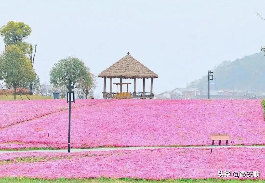 你好！我叫安顺，这是我2021最新简历