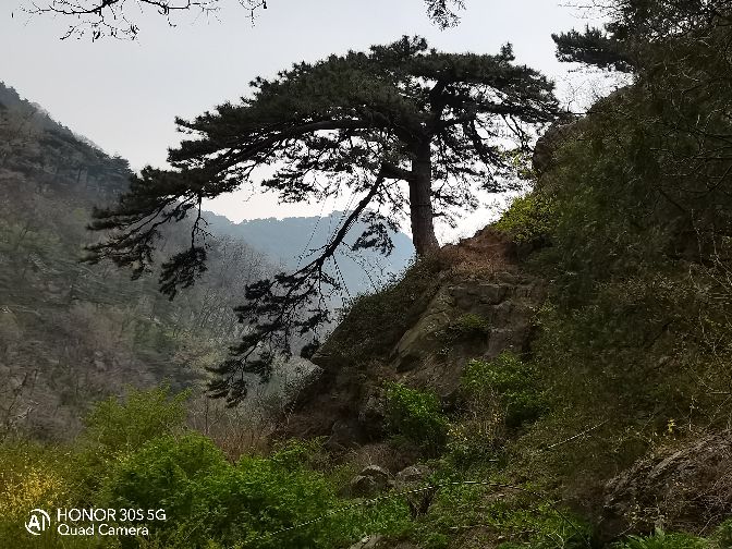 泰山一日游最佳路线图天外村,泰山一日游淄博旅游团