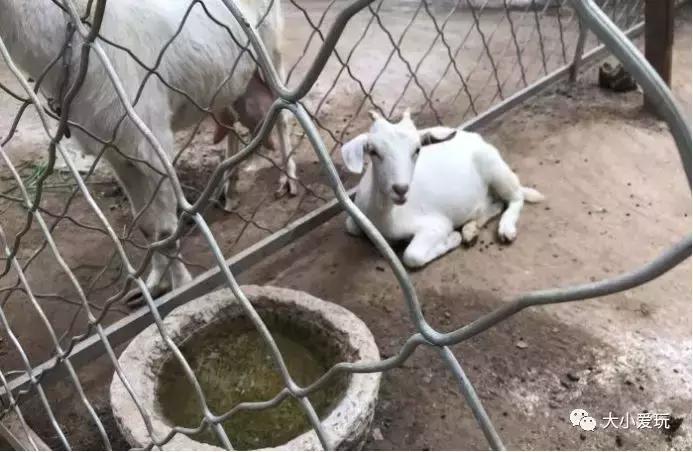 通州副中心哪些地段好,北京通州有山有水遛娃好去处