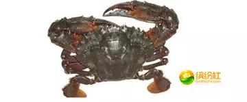 舟山海鲜攻略2天1晚住宿自由行,舟山最好的海鲜