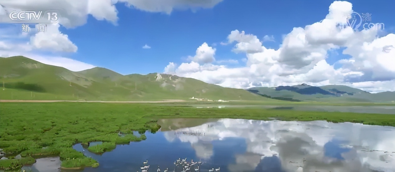 为了保护它们，广东实施这个工程