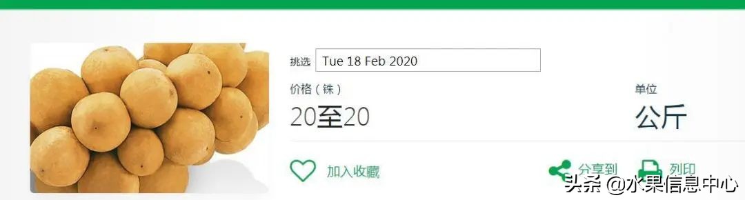 西双版纳水果市场榴莲 (上海亚洲最大的水果批发市场榴莲)