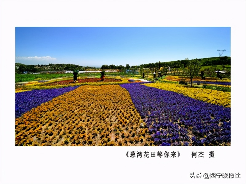 书写高质量发展的优异答卷,西宁奋力书写绿色发展合格答卷