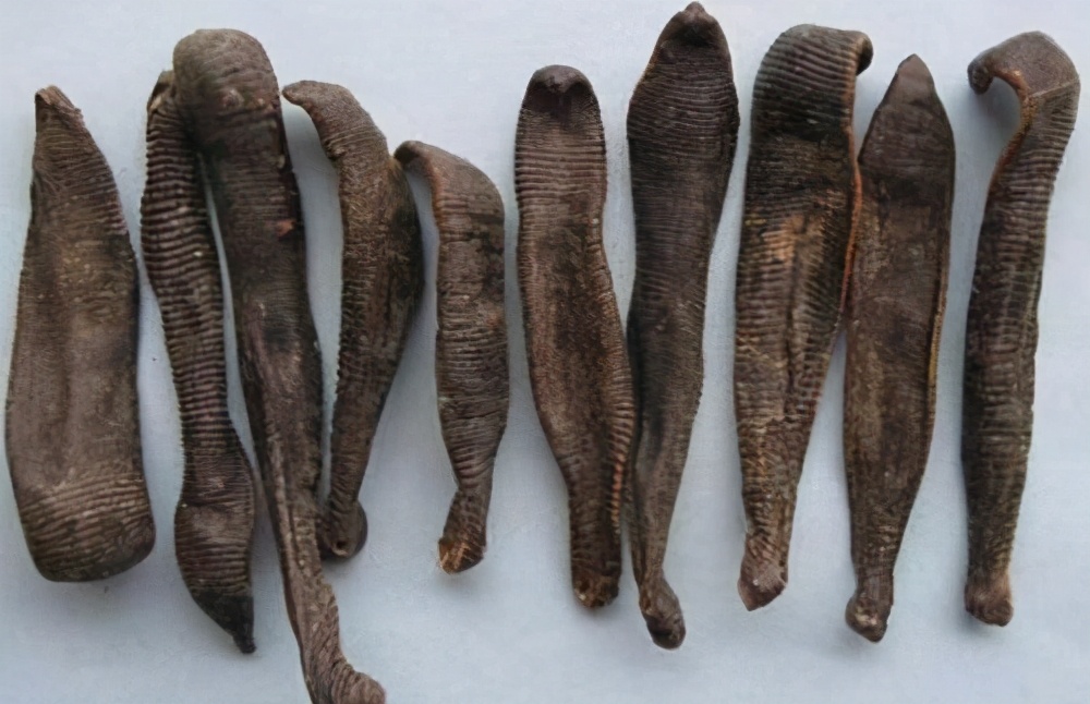 络脉瘀阻怎么治疗,疏通络脉的中成药