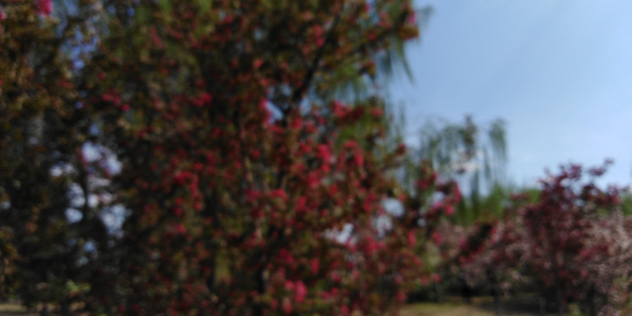 沈阳长白岛森林公园一日游攻略,长白岛森林公园五一