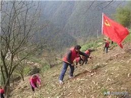 种植中药材需要哪些条件,北方种植什么中药材才适合