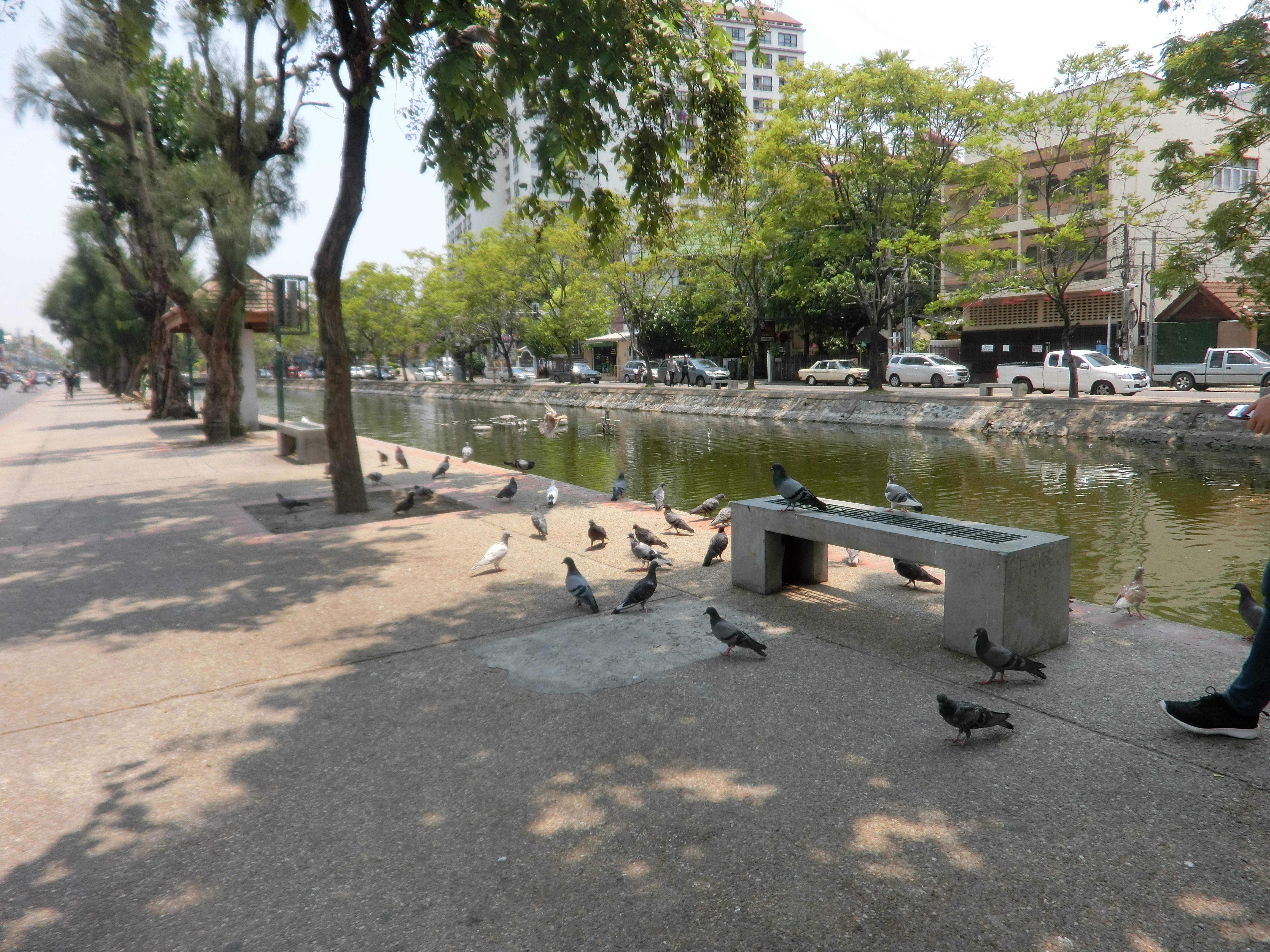 泰国清迈一座古都的历史,泰国清迈旅游攻略大全