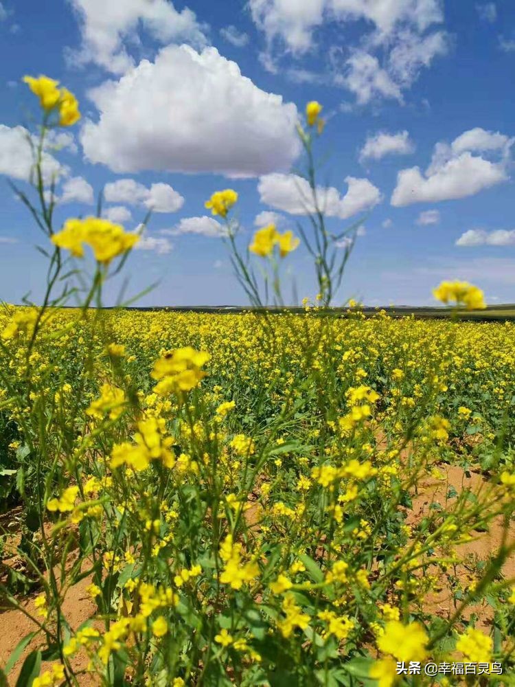 没有过不去的困难只是暂时的,心中有希望所以不再有哭泣
