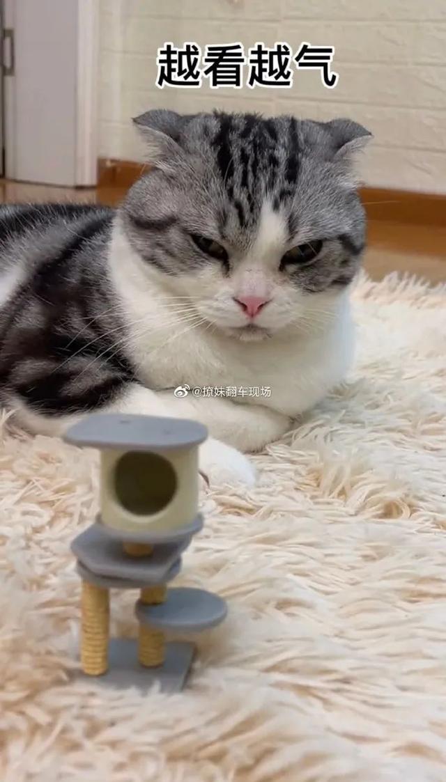 买东西不看价格是什么感受,买东西不看尺寸的后果文案