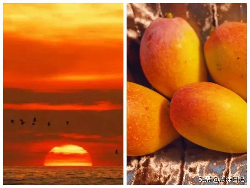 爆甜贵妃芒海南三亚,少吃点饭给榴莲留点空间