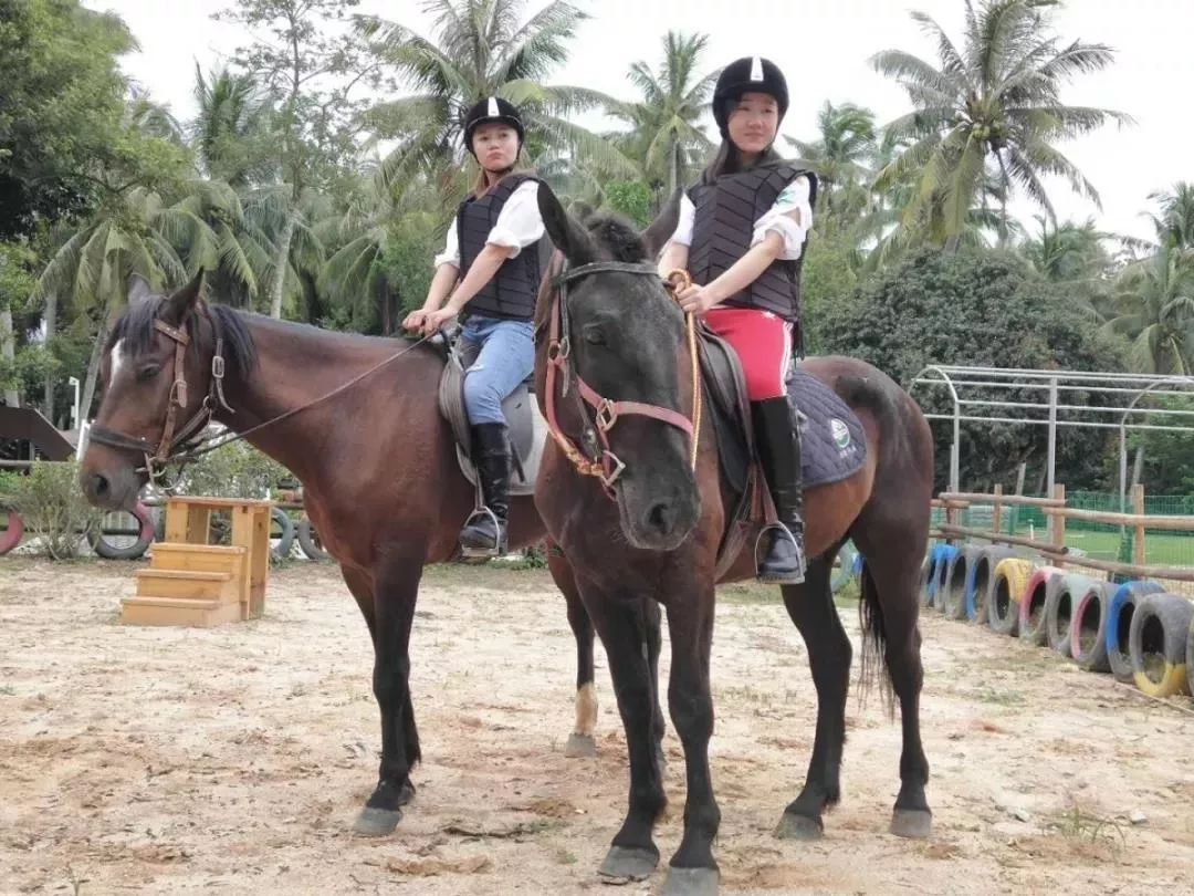 青塘会员卡正式上线，粉丝福利送不停！！！