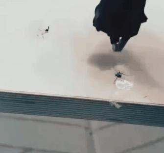 各种搞笑方法干掉蚊子,如何一次干掉100只蚊子