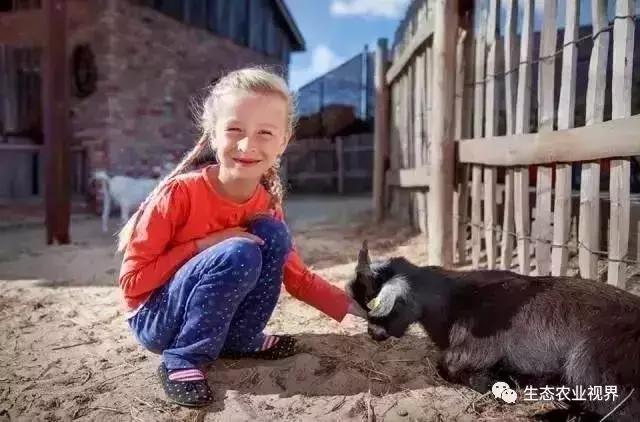 用一颗草莓吸引5百万游客,开5家主题乐园、4家超市、300个草莓屋