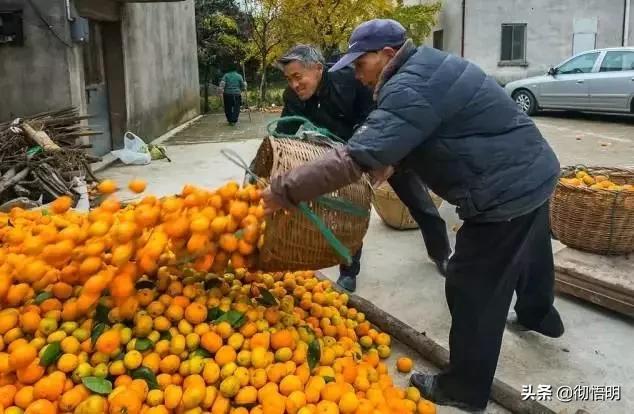 江苏旅游西山岛攻略图文,内湖洞庭西山岛