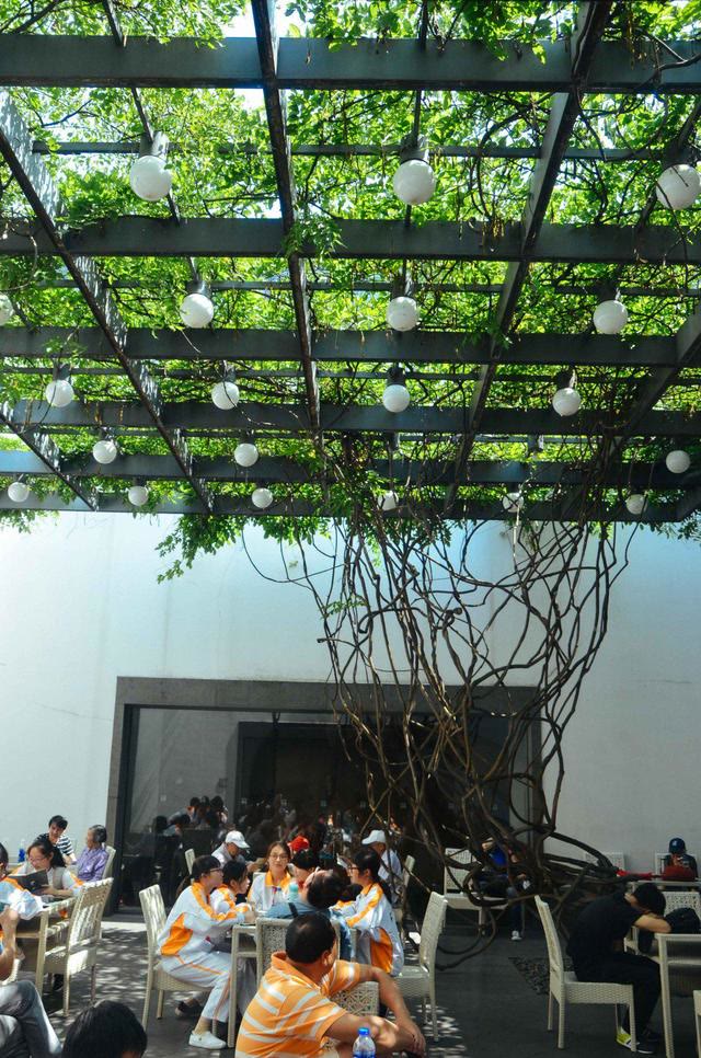 苏州博物馆贝聿铭设计,苏州博物馆和贝聿铭博物馆