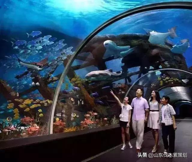 日照花仙子打卡地,日照东夷小镇旅游攻略