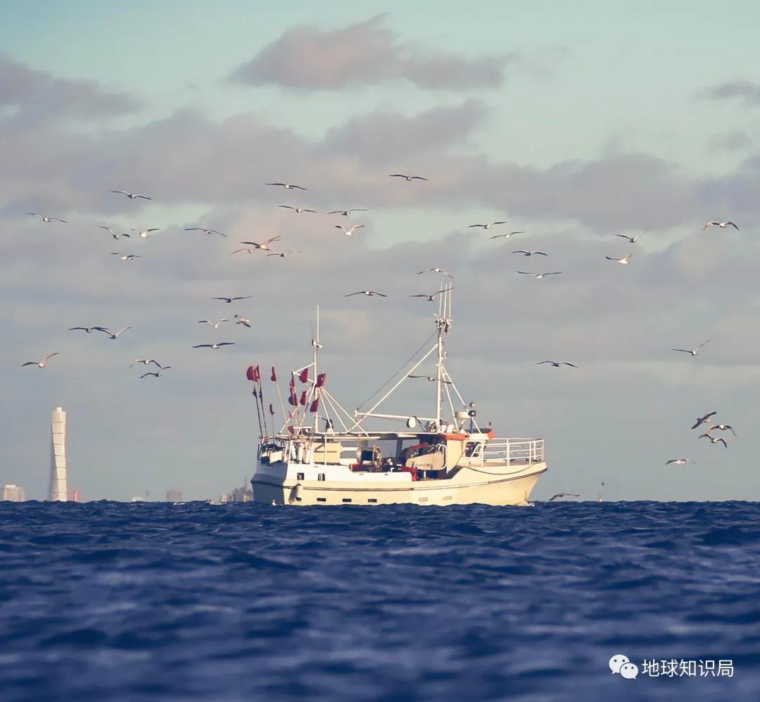 丹麦天子守国门,丹麦守国门知识局