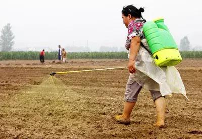 使用农药要注意的预防措施,用农药打药注意事项和禁忌
