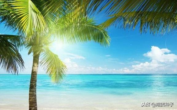 期货交易平台认知,期货交易认知