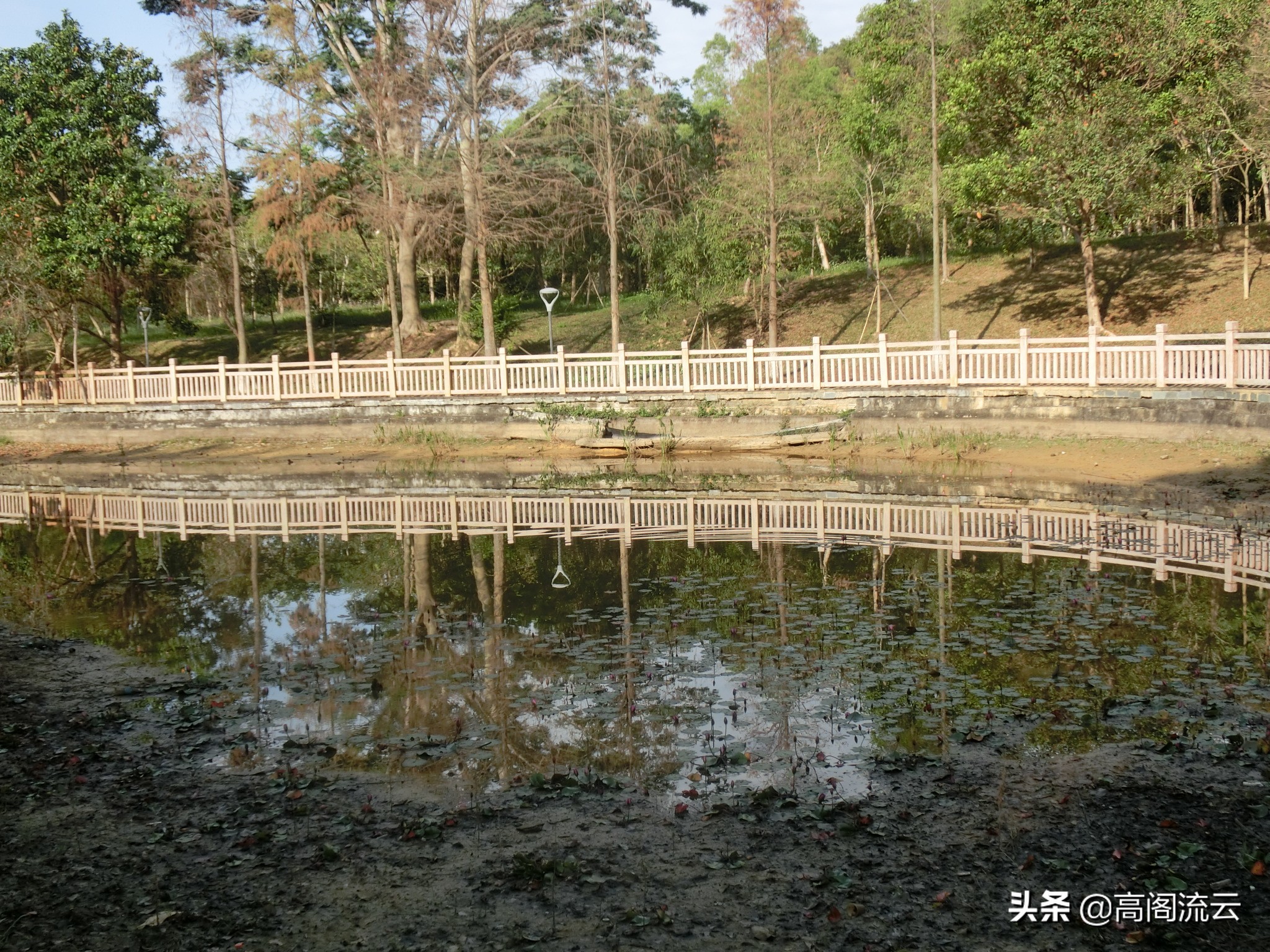 深圳旅游:燕子岭生态公园游记