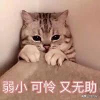 朴宝剑帮母亲还债,朴宝剑还债