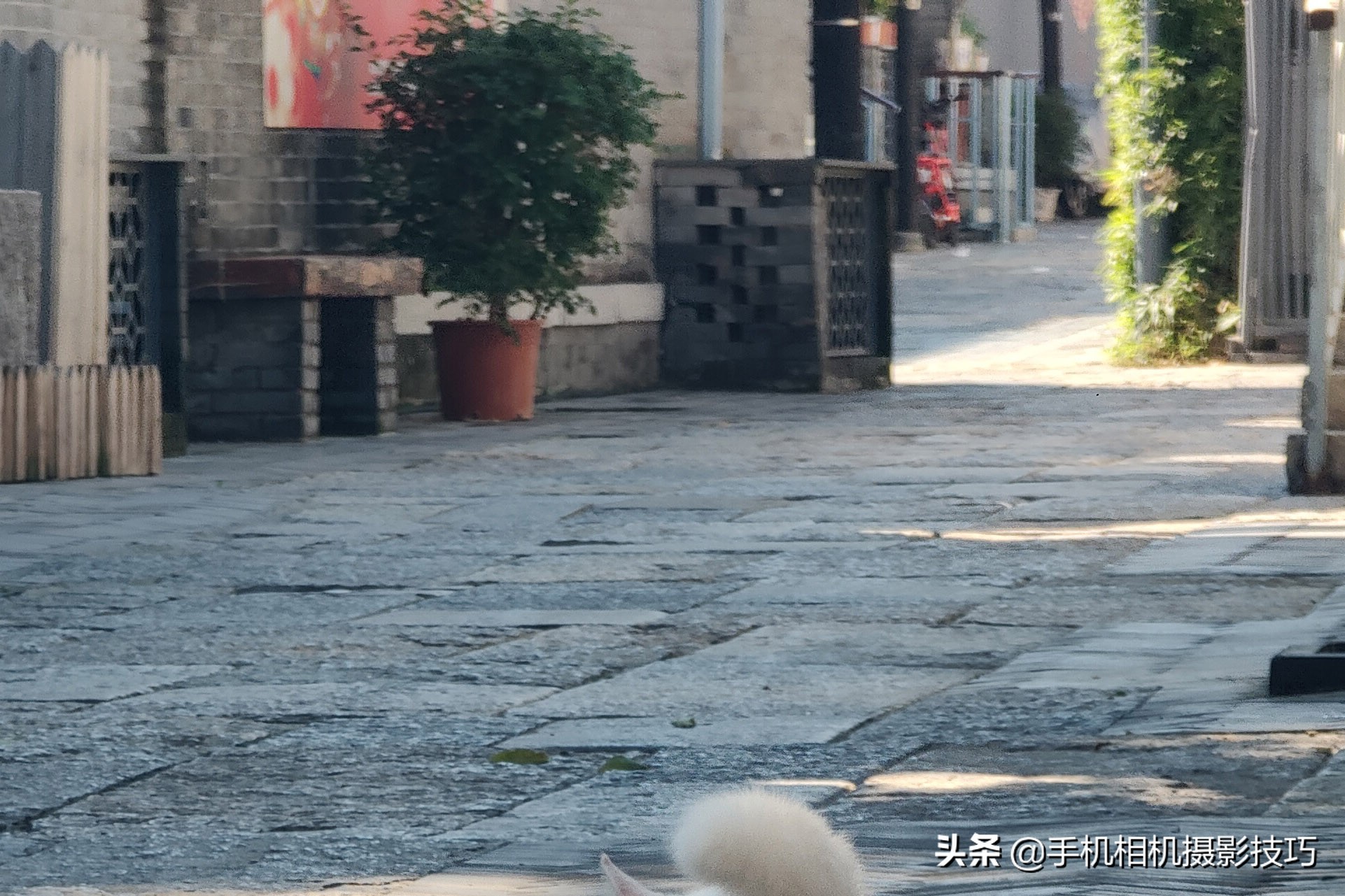 vivoX70Pro+是摄影新机皇？用完它那拉胯的长焦，我沉默了