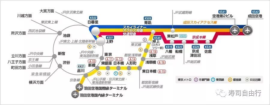 去日本旅游一定要注意哪些事项,去日本旅游的3条实用小建议