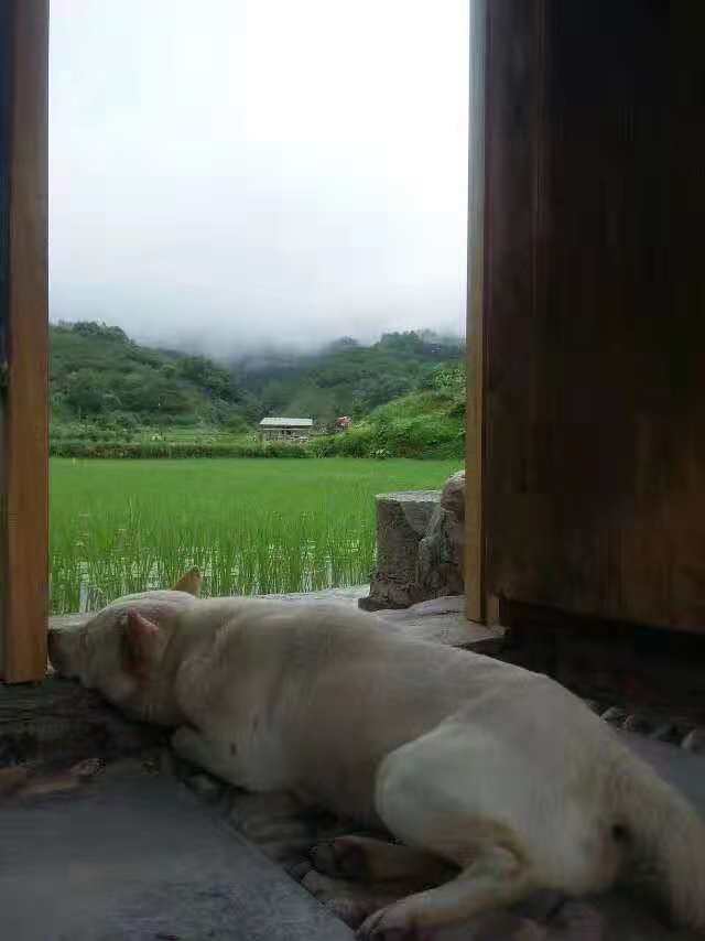 二哥的人生观,二哥的平庸生活