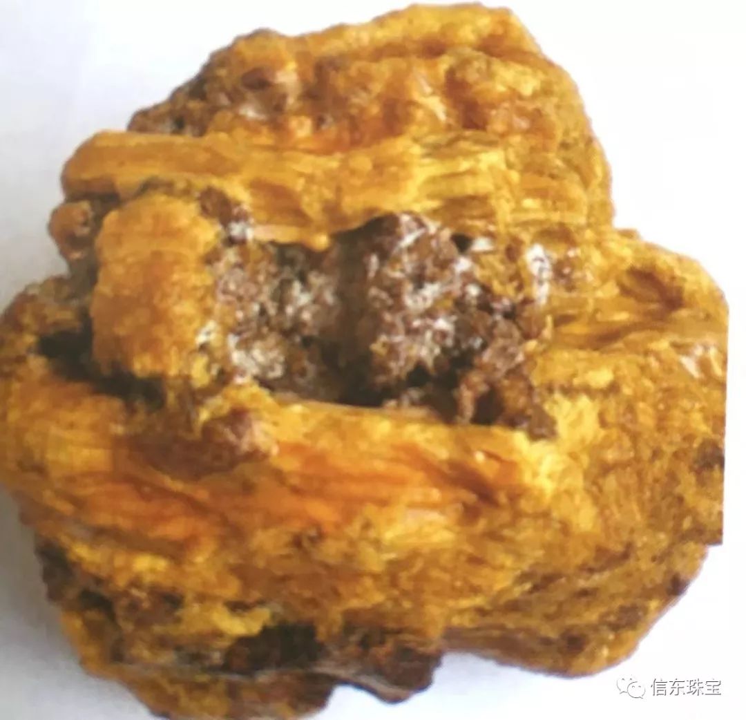 第一节是什么节,什么是琥珀呢