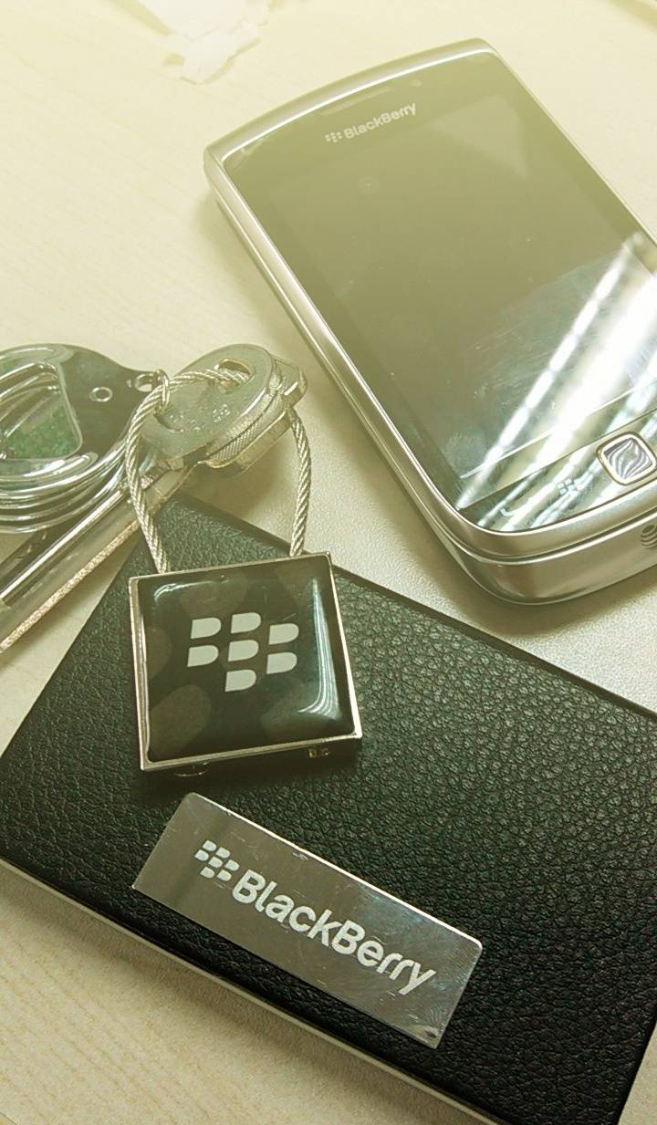 黑莓的一生,黑莓的一生简介