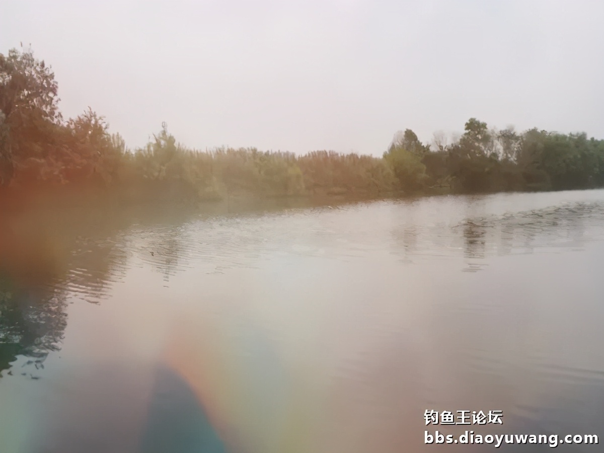 疯钓鲫搭配,疯钓鲫本味单开效果怎么样