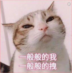 业主用车堵小区屡屡发生，物业如何处置才算恰当？