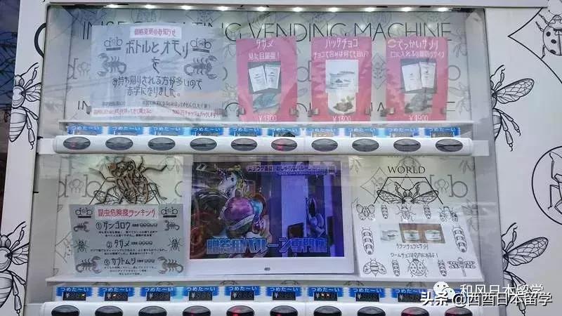 日本昆虫拉面自助售卖机,日本活体昆虫自助售卖机