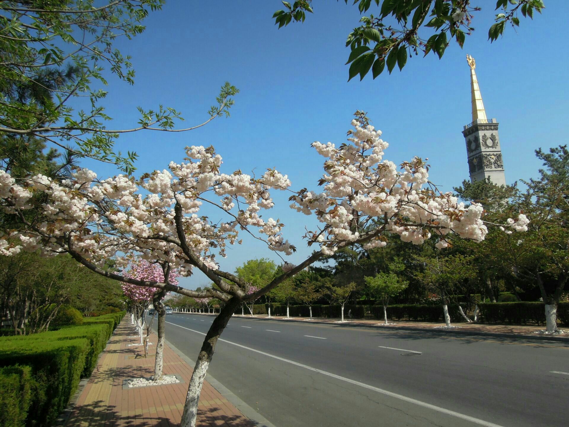 这座海滨小城的特点是什么,适合养老的海滨小镇
