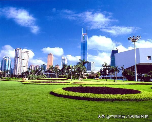 网友如何评价深圳这座城市,怎么夸赞深圳这个城市很美丽