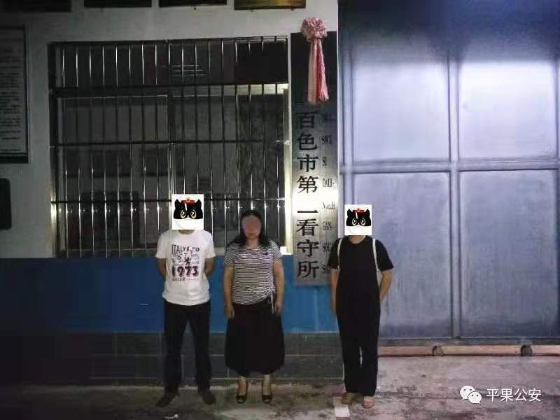 特大传销云集品案,特大传销案云集品