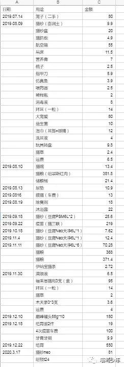 养猫真的很费钱吗？才不是呢。亲身经历告诉你养猫需要多少钱