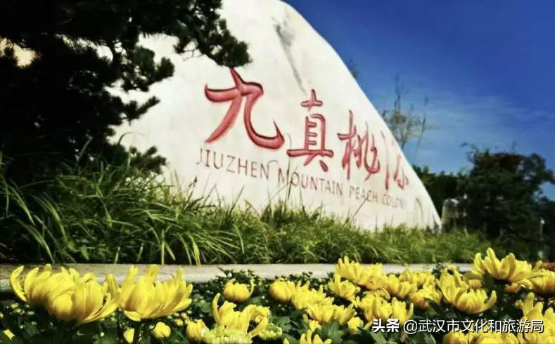 花young官方购票,花young套餐29元103g联通