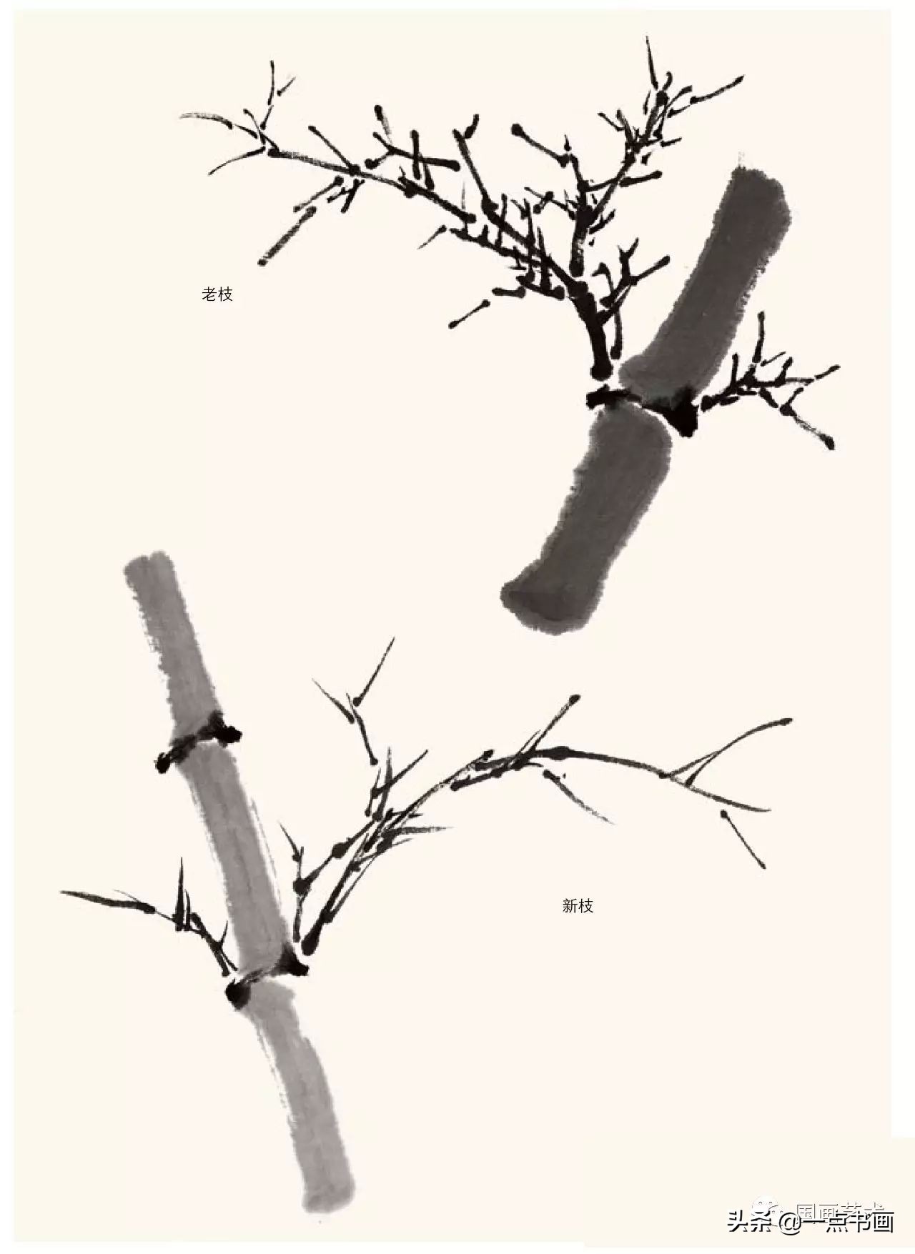 梅花画法教程,竹子画法教程