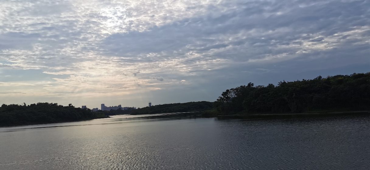 成都青龙湖公园门票,成都青龙湖公园地址