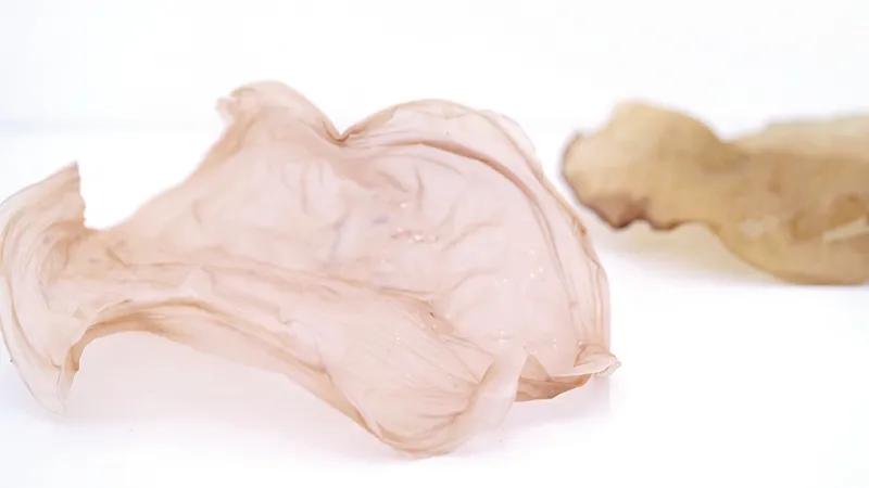 食物设计案例,健康饮食的设计意图